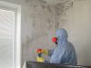Профессиональное уничтожения квартирного ГРИБКА и ПЛЕСЕНИ по доступной цене