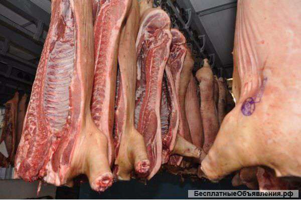 Продам свинину,говядину.