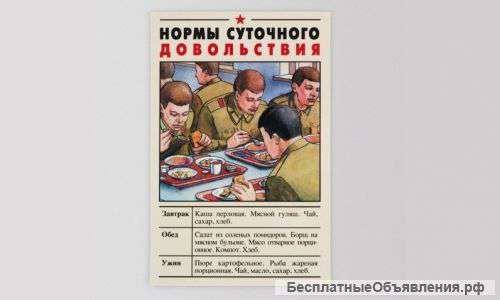 Магнит на холодильник "Нормы суточного довольствия"