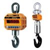 Крановые весы CAS THD (Caston III)