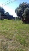 Участок 12 соток, д. Губино