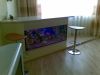 Обслуживание аквариума разовое и абонентское в Москве и обл