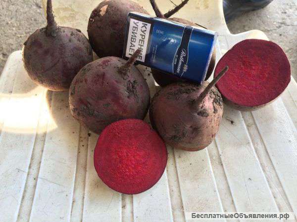 Свеклу