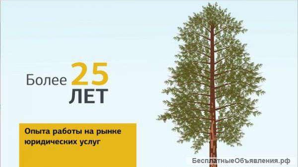 Ликвидация ооо