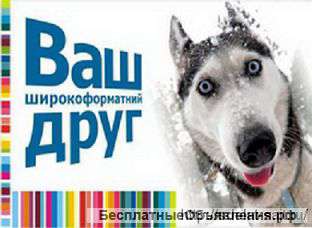 Разработка и продвижение профессиональных сайтов