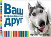 Разработка и продвижение профессиональных сайтов