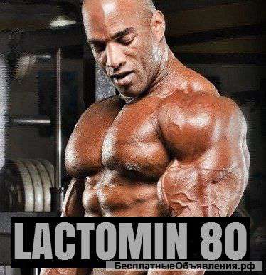 Лактомин 80- Концентрат Сывороточного Белка (протеин)