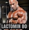 Лактомин 80- Концентрат Сывороточного Белка (протеин)