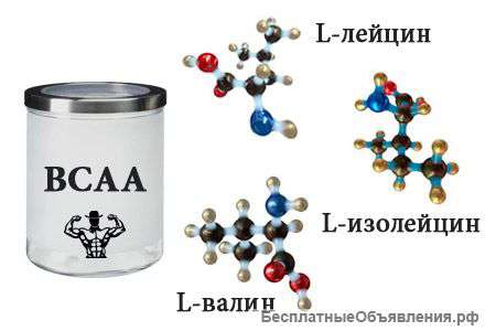 Незаменимые аминокислоты ВСАА 2-1-1 оптом и в розницу