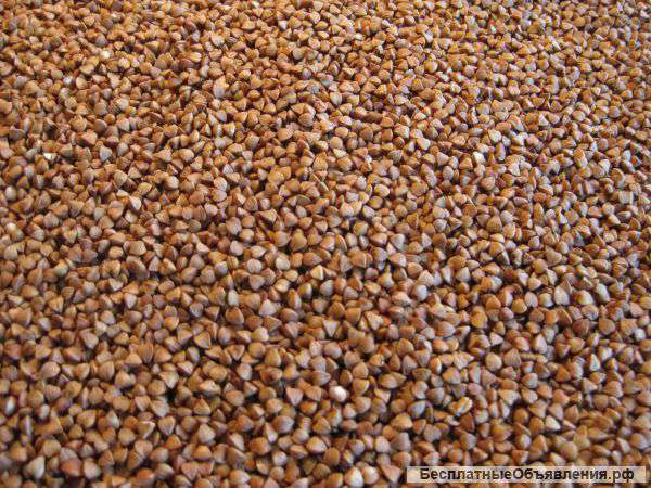 Гречневая крупа.Греча.Гречиха.1 сорт.ГОСТ Р 55290-2012.