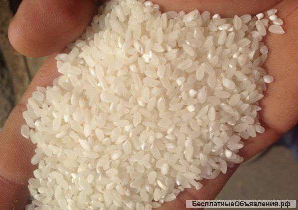 Рис: ТУ, ГОСТ, дроблёный, рис-сырец (рапан, осман). Рисовая крупа.