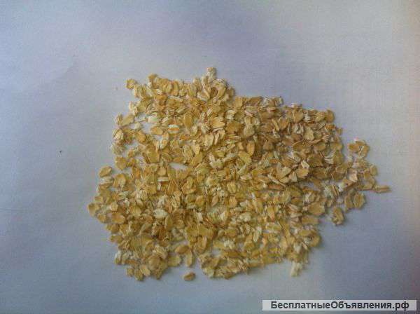 Овсяные хлопья Геркулес ГОСТ 21149.Стандарт и НТВ.