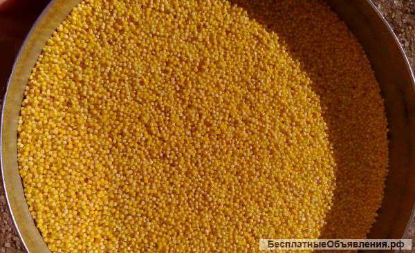 Пшено шлифованное 1 сорт, В/C ГОСТ 572-60