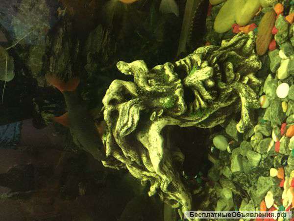 Аквариум 250л