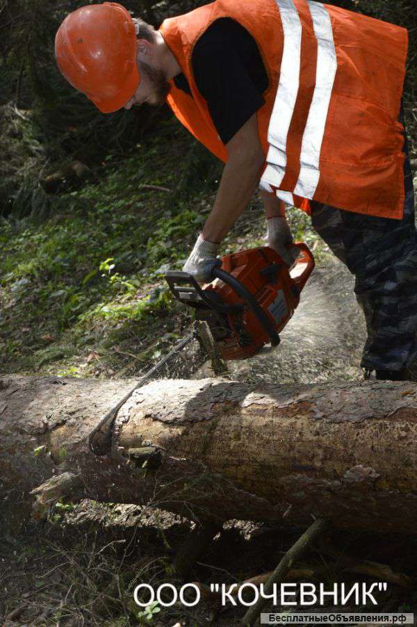 Валка, спил, удаление деревьев
