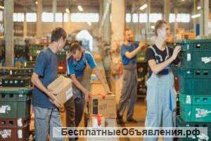 Предоставляем разнорабочих