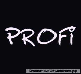 Компания "ПРОФИ" - разработка и продвижение сайтов в Апрелевке