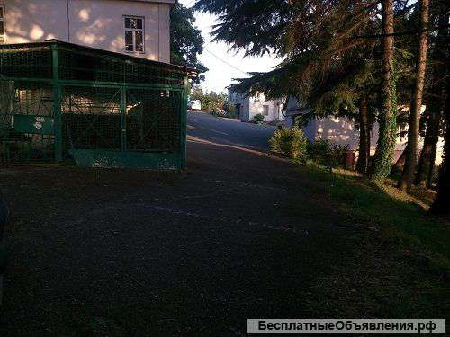 Участок у моря в Лазаревском районе