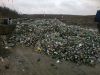 Покупаем тарный стеклобой.наличный расчет