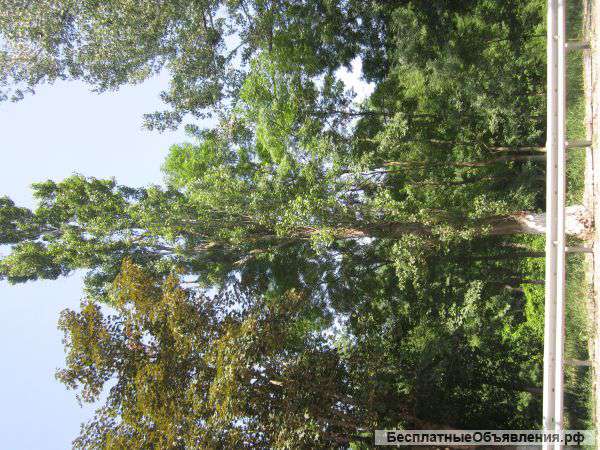 Участок в Глебовке