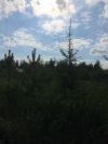 15 соток в 25 км от столицы