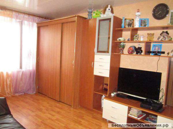 1к квартиру на Бородина 46Б