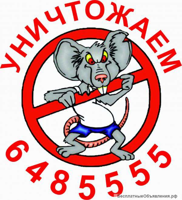 Уничтожение клопов в Истре