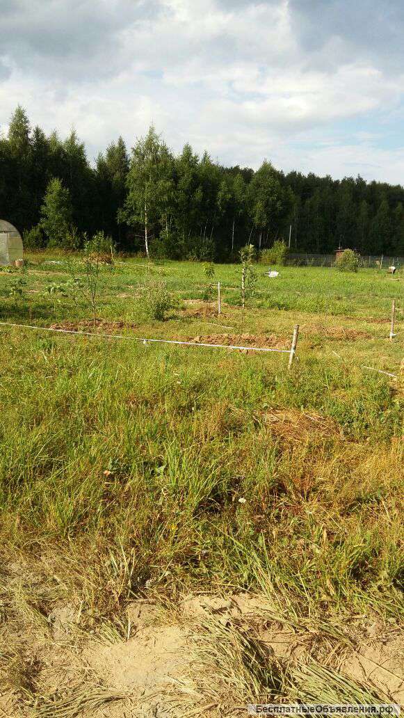 Участок 10 соток д.Осеченки, Раменский р-н