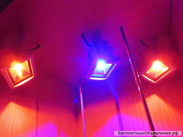 Лампа для растений LED 3х10W фитопрожектор