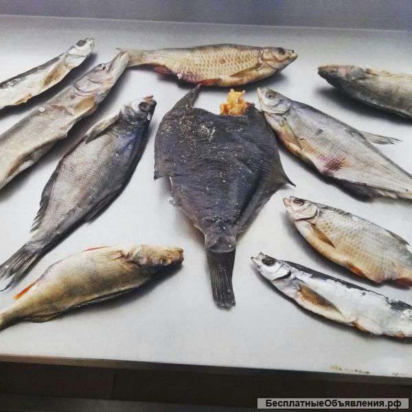 Копчение рыбы
