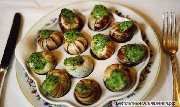 Улитки виноградные в рестораны и кафе
