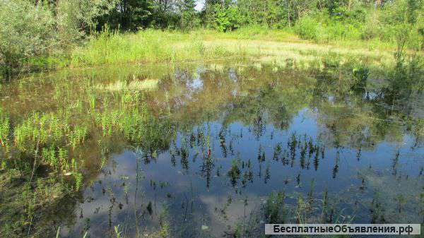 Земельный участок с озером в живописном месте экологически чистом и плодородном