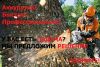 Покос травы. Спил деревьев. Расчистка участков.