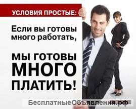 Торговый представитель