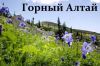 Активные туры по Алтаю