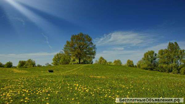 Земельный участок Базальт-2 Марксовский пр-12