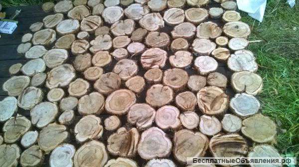 Спилы можжевельника. Панно.