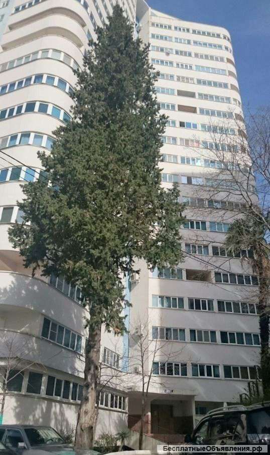 Квартира у моря