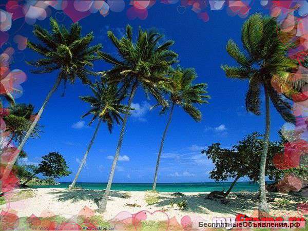 Услуги по туризму