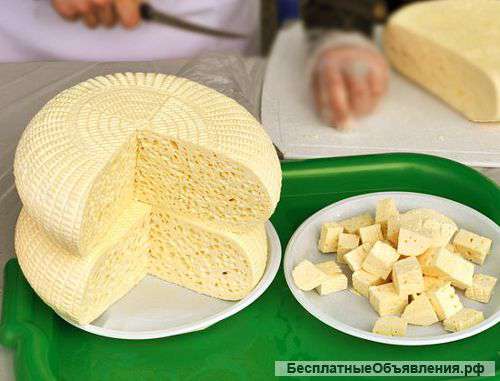 Продаю осетинский сыр
