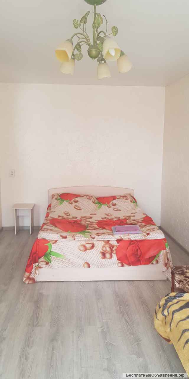 1-комнатная квартира с ремонтом на сутки в Гомеле