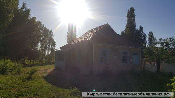 Дом, участок 50соток
