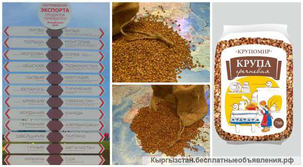 Экспорт продукты сельхозпереработки Алтайский край