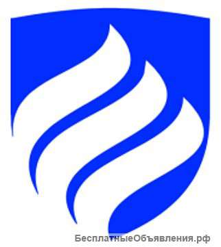 Сопровождение участия в тендерах