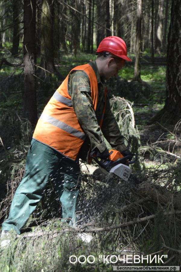 Удаление деревьев опасных и аварийных
