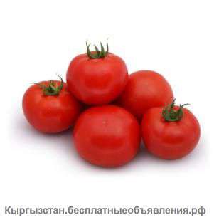 Семена томата Анита (KS 829 F1) фирмы Китано