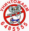 Уничтожение клопов в Истре, в Москве