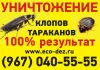 Уничтожение клопов в Истре, Москве, Московской области