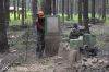 Спил, снос аварийных и проблемных деревьев