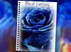 Праздничное агенство Real Fantasy
